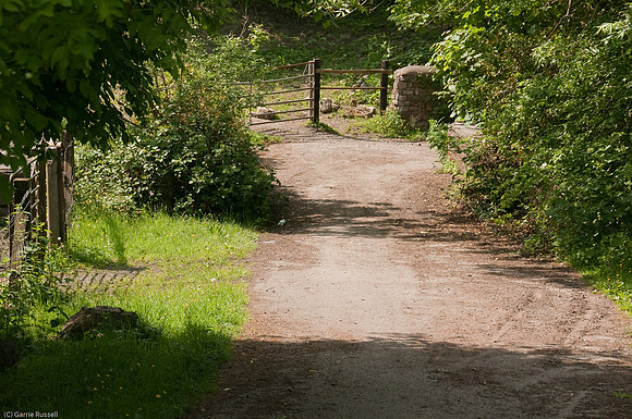 Wales 2010-605
