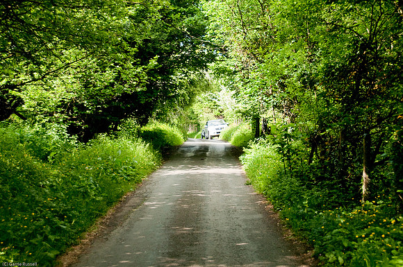 Wales 2010-610