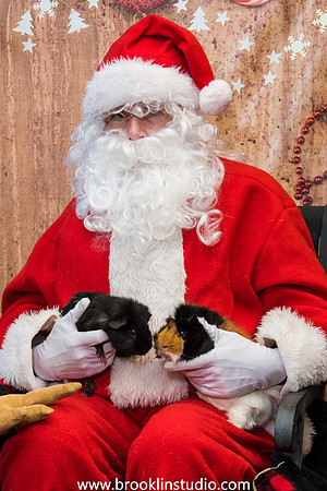 PV-Santa-2017-30