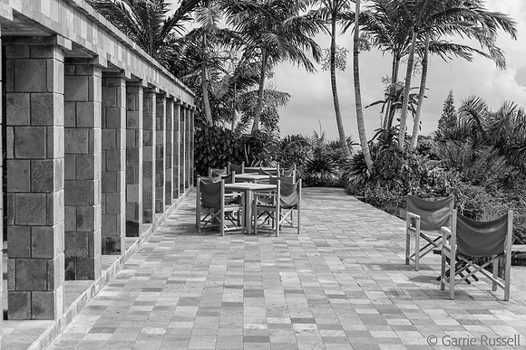 _DSC0780