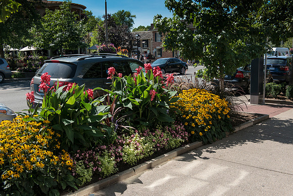 NOTL-3