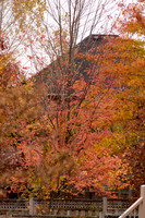 Fall 2015-4