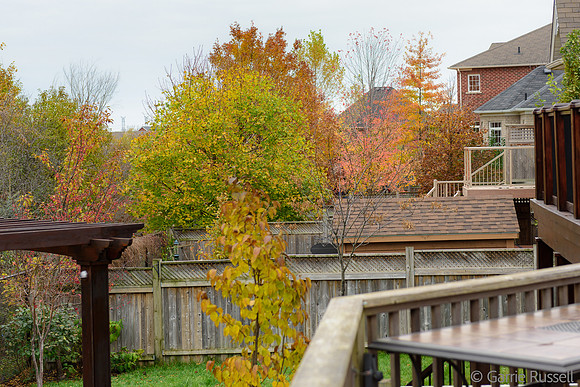 Fall 2015-3