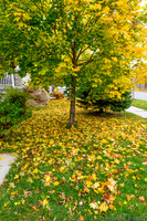 Fall 2015-15