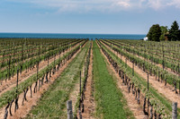 NOTL-2