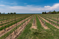 NOTL-1