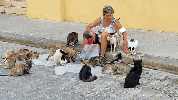 Cuba 2023-145