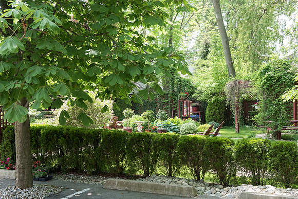 NOTL-50