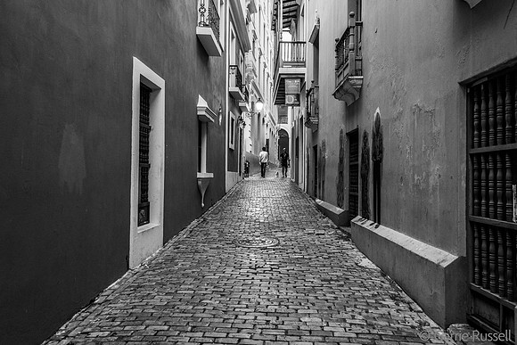 _DSC0440