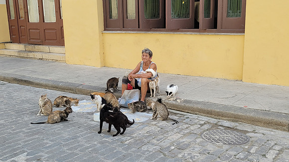 Cuba 2023-147