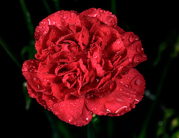 Macro-10