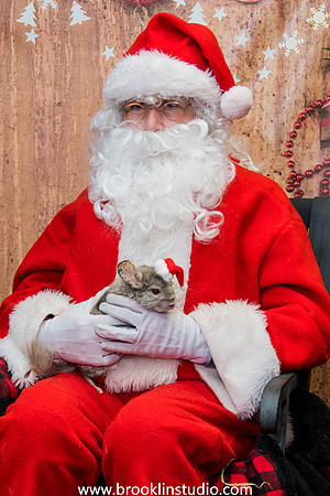 PV-Santa-2017-54