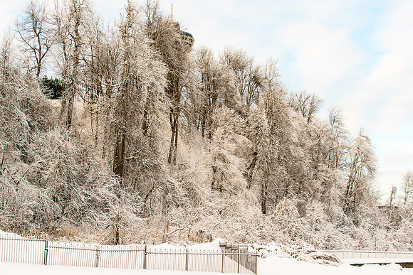 The Falls-2