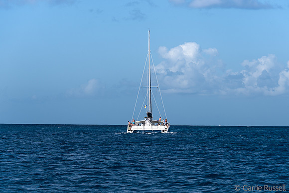 _DSC0552