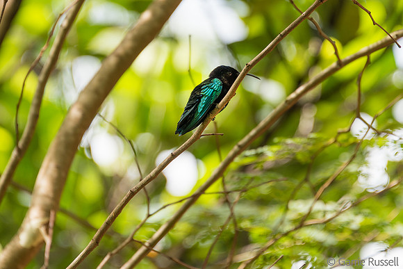 _DSC0808