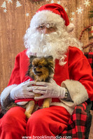 PV-Santa-2017-4