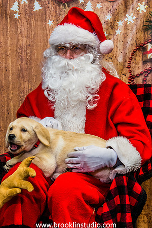 PV-Santa-2017-60