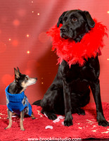 pet valu 2-070