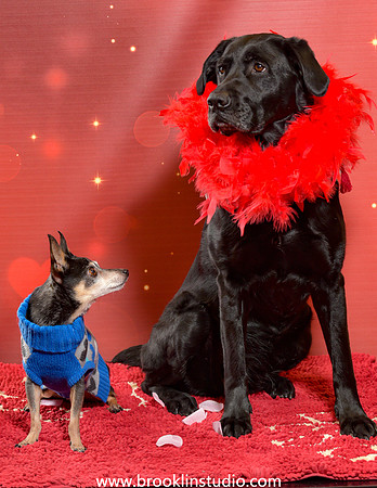 pet valu 2-070