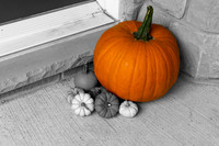 Fall 2018-13-Edit