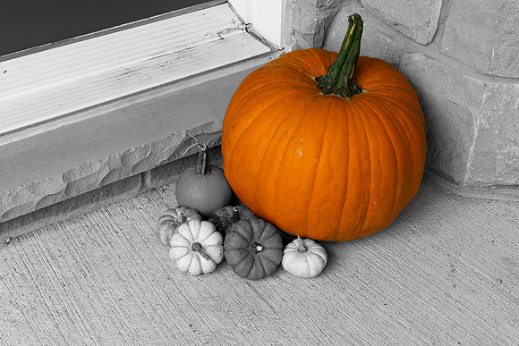 Fall 2018-13-Edit