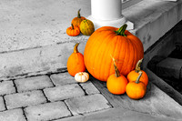 Fall 2018-7-1