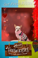 pet valu 2-029