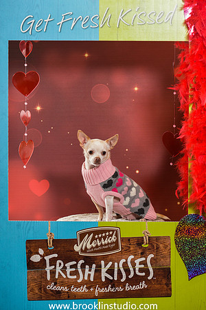 pet valu 2-029