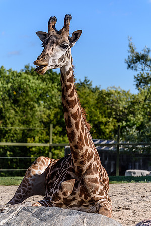 Sam Visit-124