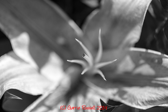 D8E_3684