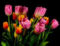 Macro-3