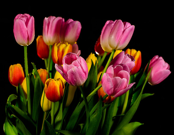 Macro-3