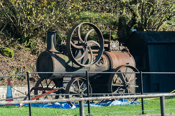 D8E_0854