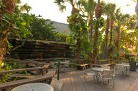 Florida-2