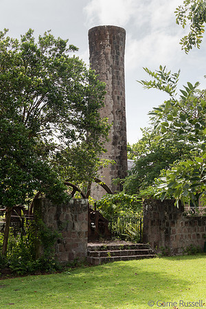 _DSC0743