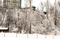 The Falls-1