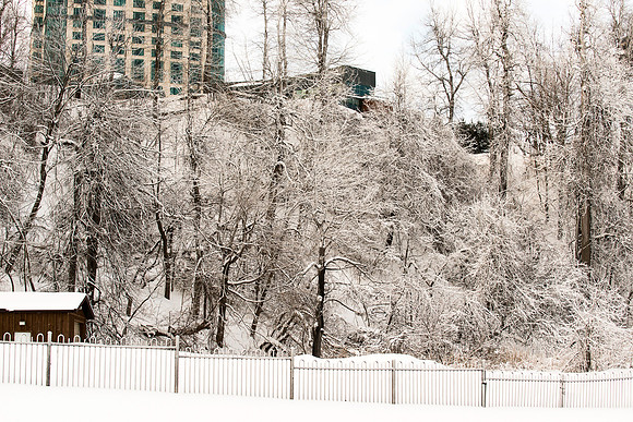 The Falls-1