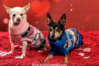 pet valu 2-082