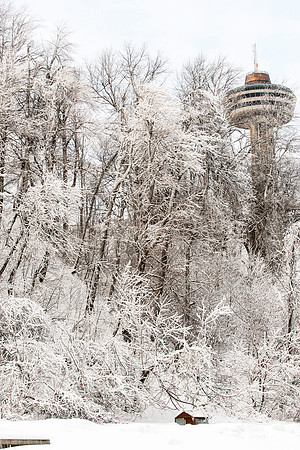 The Falls-26