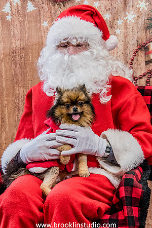 PV-Santa-2017-5
