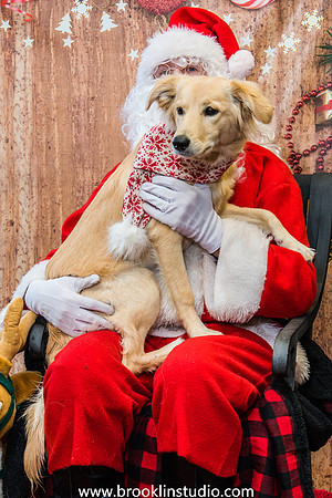 PV-Santa-2017-20