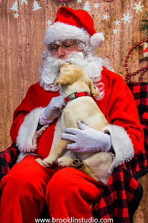 PV-Santa-2017-61