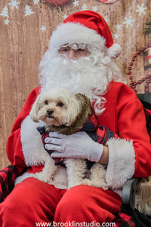 PV-Santa-2017-13