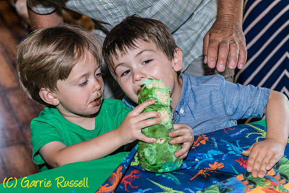 Jake's 3rd Birthday-78