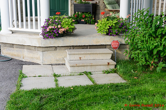 Front Landscape Project-17