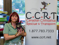 CCRT-PV-10-17-2
