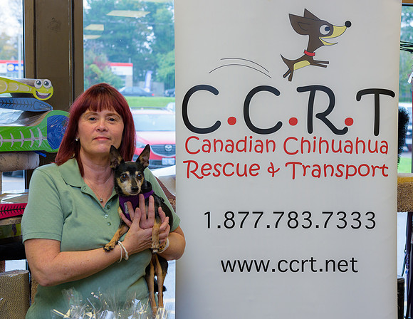 CCRT-PV-10-17-2