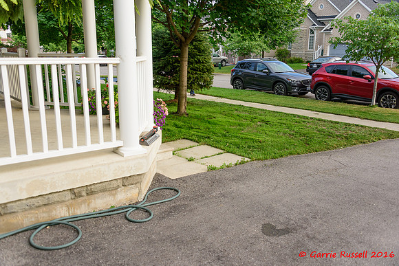 Front Landscape Project-2