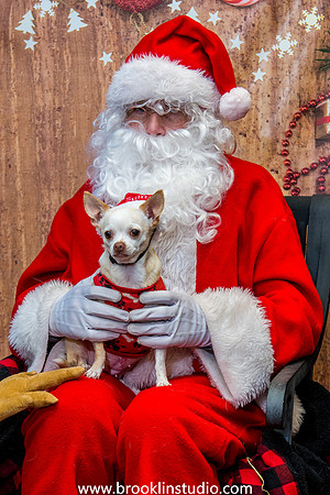 PV-Santa-2017-34