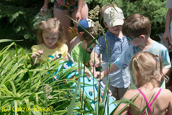 Jake's 3rd Birthday-29